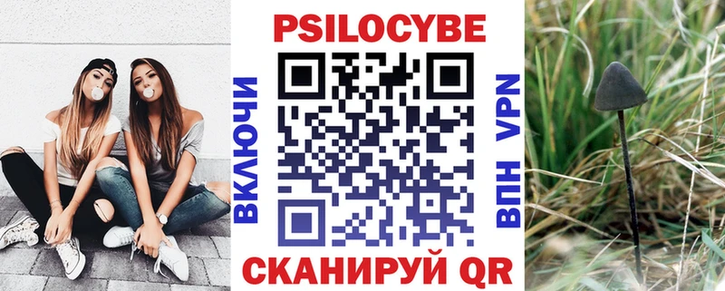 кракен зеркало  Сатка  Псилоцибиновые грибы ЛСД 