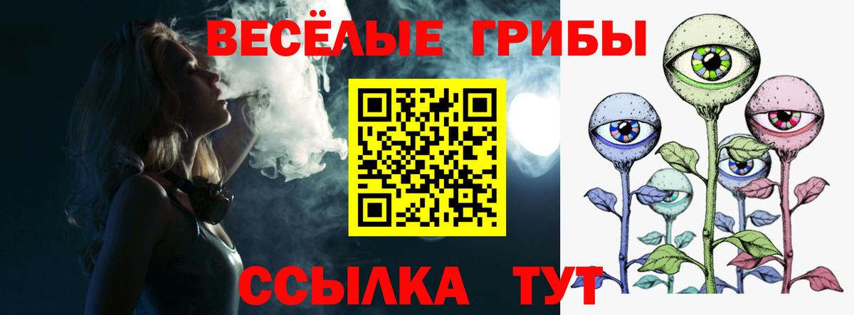 Псилоцибиновые грибы Cubensis Сатка
